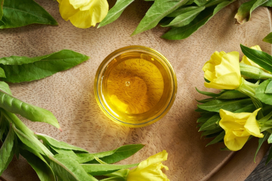 Ulepšavaju sive zimske dane: 9 odličnih sobnih biljaka koje cvetaju zimi