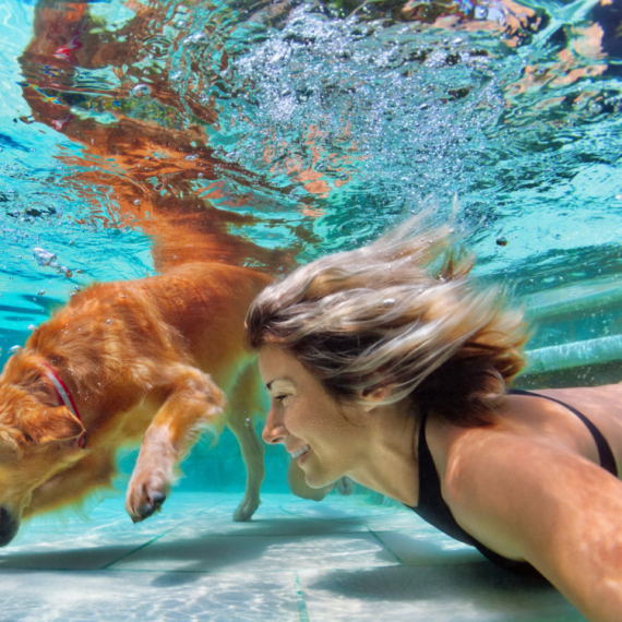 Snimak psa na dnu bazena izbezumio ljude: Rešite misteriju VIDEO