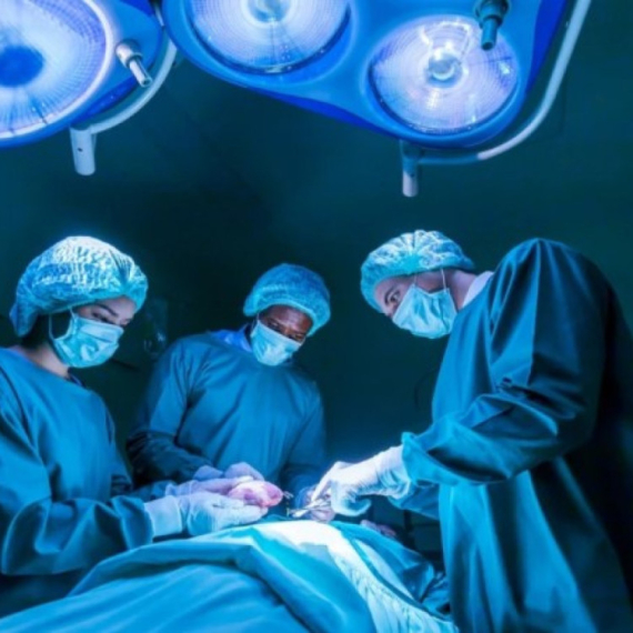 Drugi slučaj transplantacije svinjskog bubrega pacijentkinji u SAD
