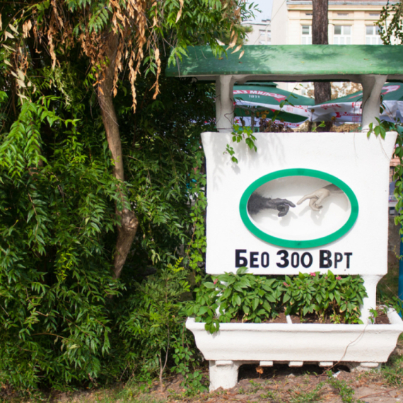 Uginula foka Bert, u toku je obdukcija: "Posetioci svašta bacaju u vodu..."