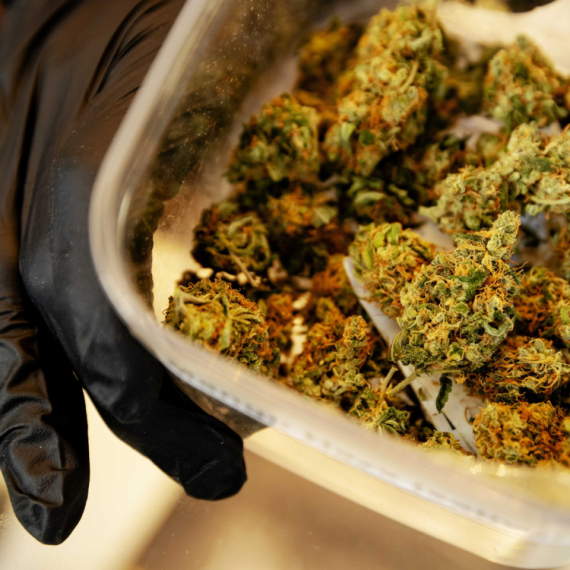 Tramp ublažava ograničenja upotrebe marihuane