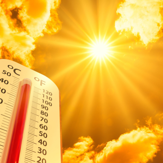 Preti nam velika opasnost: Zbog visokih temperatura, Evropa bi mogla da postane žarište opasnog virusa