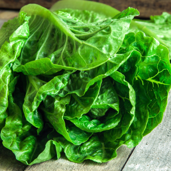 Zelena salata će ostati sveža i hrskava i do 30 dana uz ovaj trik