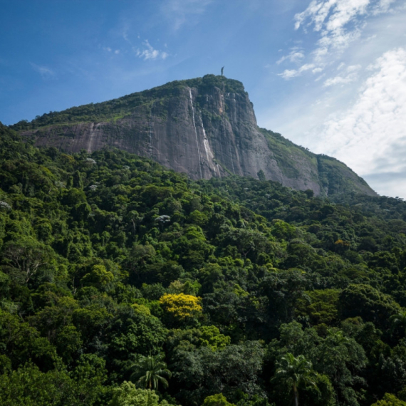 Neuhvatljivo planinsko stvorenje pronađeno u Brazilu FOTO