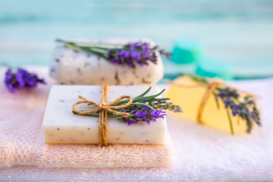 Ove biljke bi trebalo da imate u svojoj kuhinji – a evo i zašto FOTO