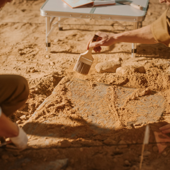 Otkrivene hiljade tragova dinosaurusa: Naučnici oduševljeni