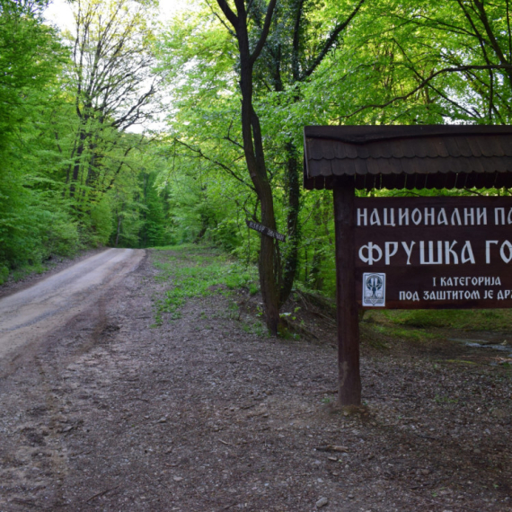 Novi cenovnik za ulazak na Frušku Goru: Evo ko neće plaćati kartu