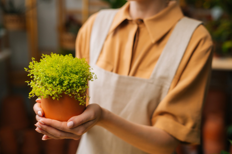 Ovaj tajni kutak u stanu donosi novac, a mnogi ga ne koriste