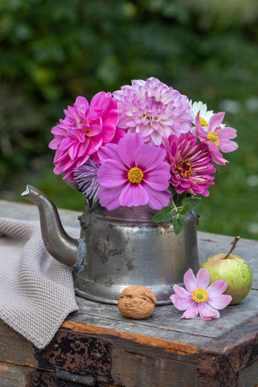 Ukras svakog doma, u vazi ili dvorištu: Nežni cvet u kojem možete uživati do prvih mrazeva