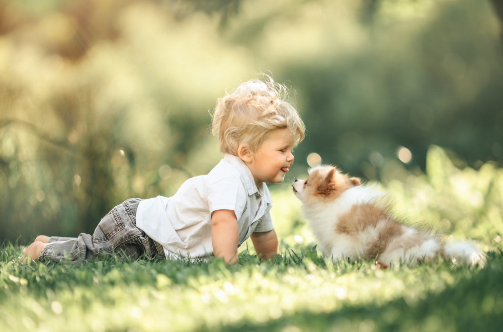 11 iznenađujućih činjenica o letnjim bebama: Nespretniji su od drugih, ali i još nešto...