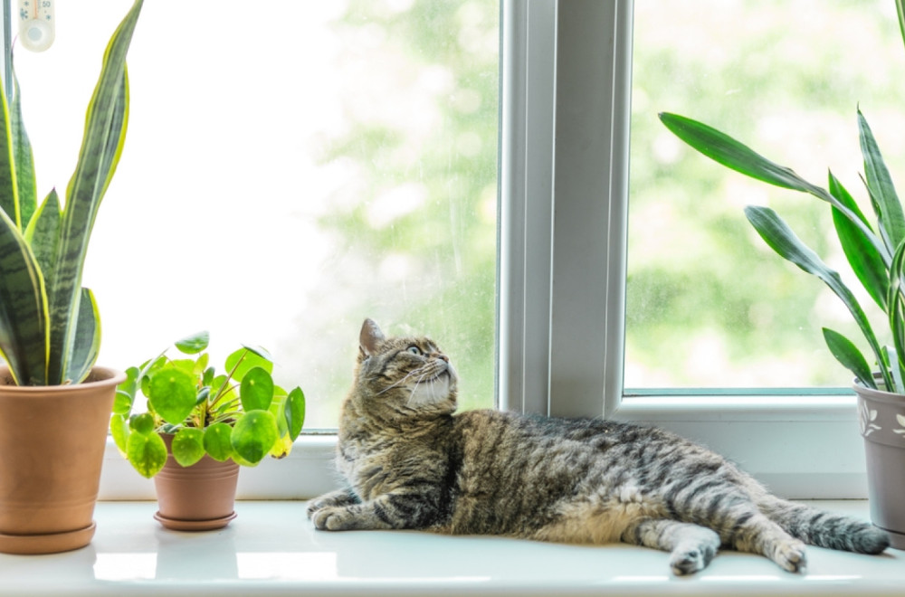 Ovaj tajni kutak u stanu donosi novac, a mnogi ga ne koriste