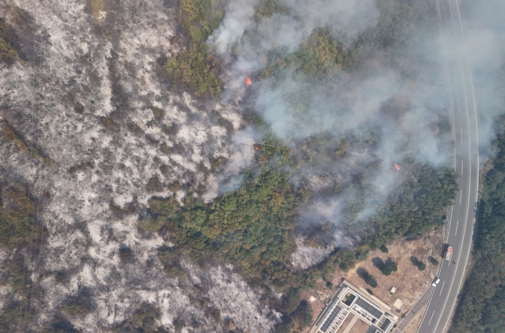 Šteta od nedavnih požara u Crnoj Gori 140.000 evra