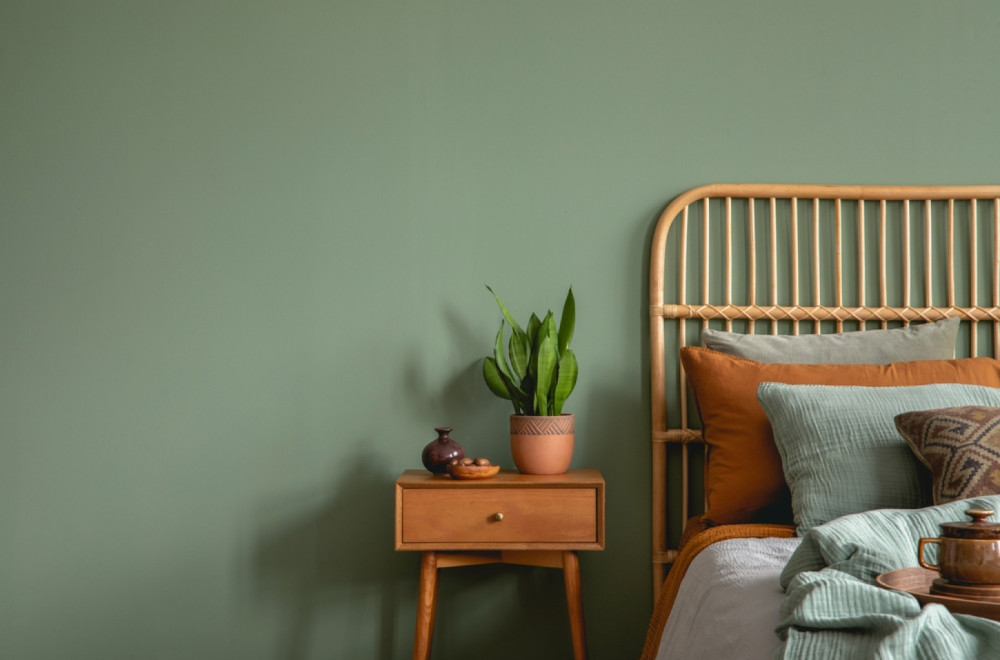 Ovu biljku obavezno unesite u kuću: Mnogi je drže pored kreveta, evo zbog čega