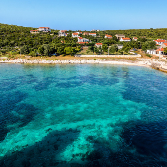 Turisti u strahu: Opasna riba primećena na Jadranu; Stručnjanci upozoravaju na jednu svar FOTO