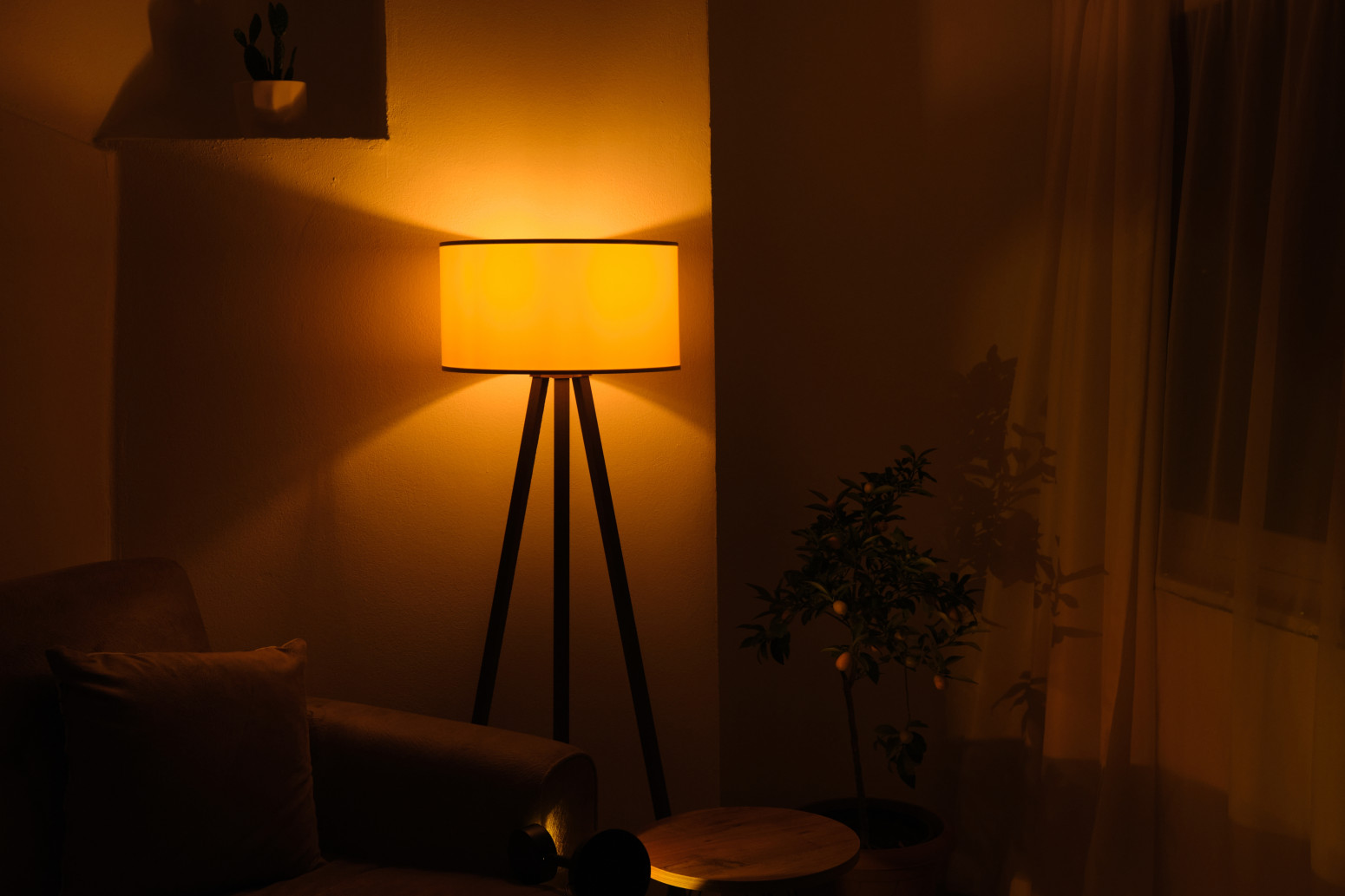 5 stvari koje dizajner enterijera nikad ne bi imao u svom stanu: Vi jednu sigurno imate