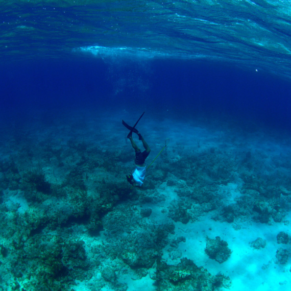 Neobično otkriće u Jadranskom moru, naučnici zbunjeni: "Ovakav prizor nikada ranije nismo videli"