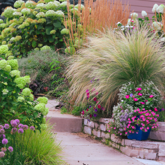 Ostaćete bez cvetova u proleće: 6 biljaka koje ne smete dirati u septembru