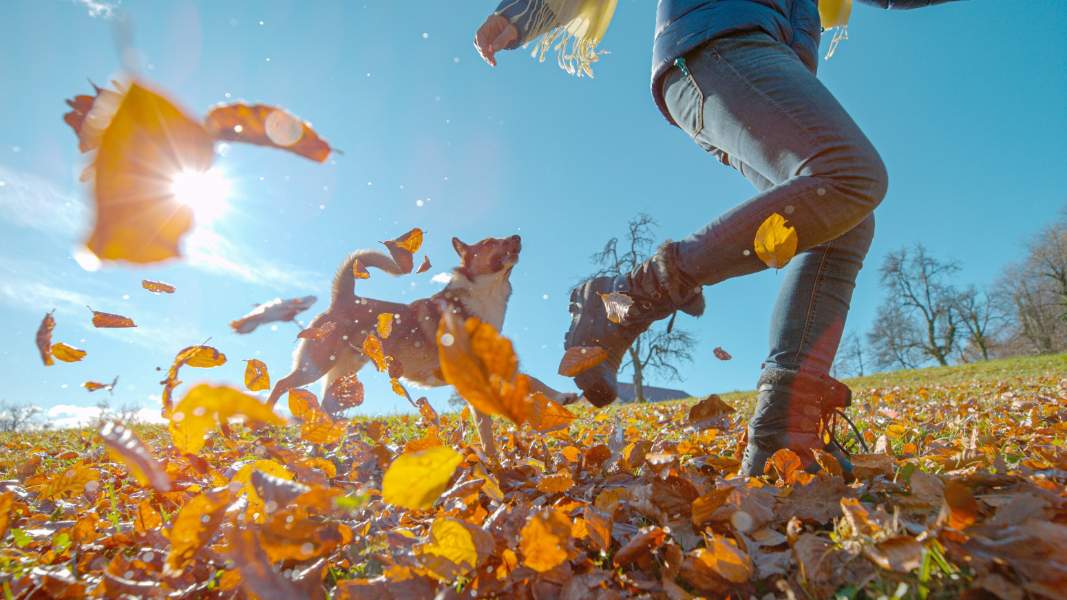 Devet godina mira, sreće i novca za njih – zasluženo