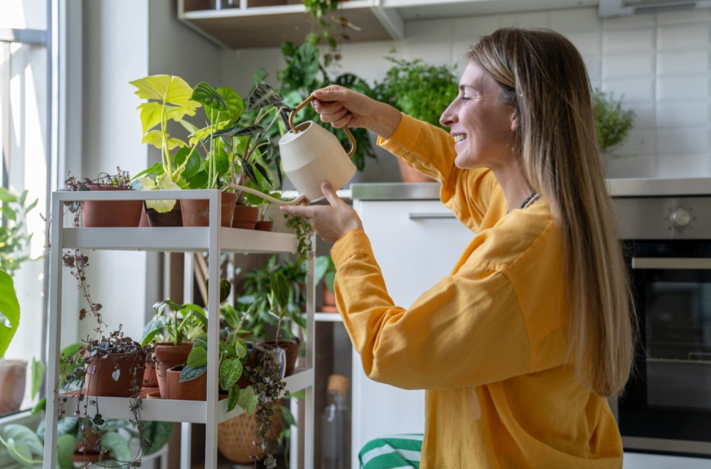 Jednostavan trik kako da vaše biljke rastu kao iz vode, ali stvarno