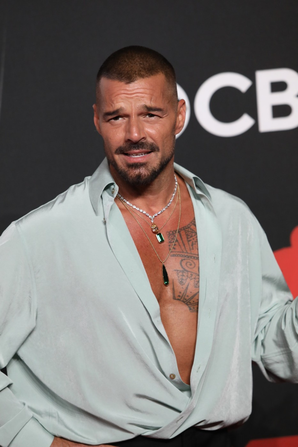 Riki Martin se (opet) skinuo i ne želite ovo da propustite FOTO