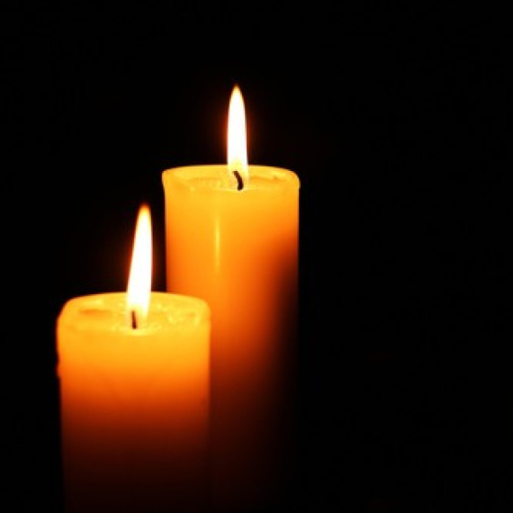 Preminuo akademik Todor Stevanović: Veliki gubitak za SANU, umetnost i kulturu