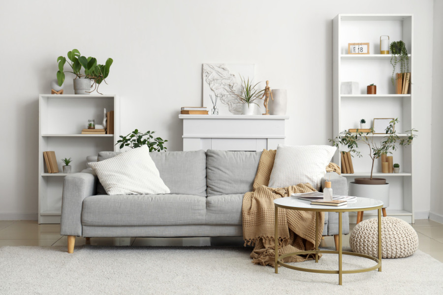 Stvari koje ne treba da držite u kući nakon 50. godine: Donose usamljenost i tugu