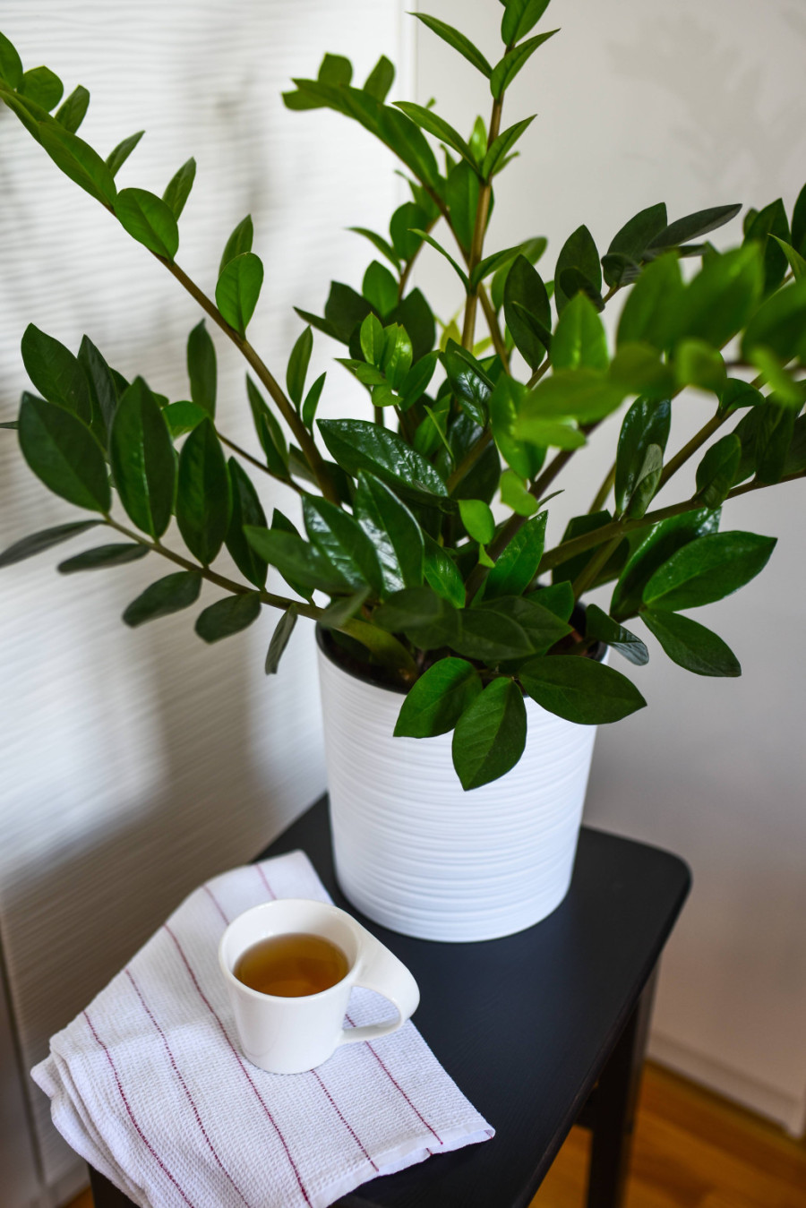 Kraljice izdržljivosti: Spisak biljaka koje uspevaju i ako zaboravite na njih