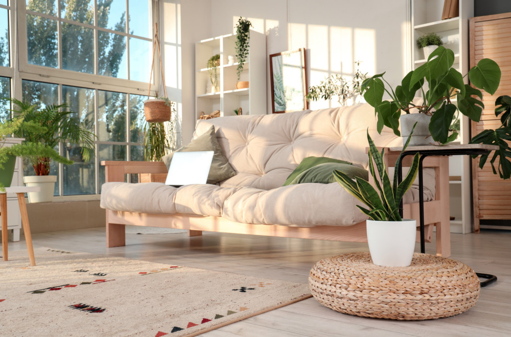 Kraljice izdržljivosti: Spisak biljaka koje uspevaju i ako zaboravite na njih