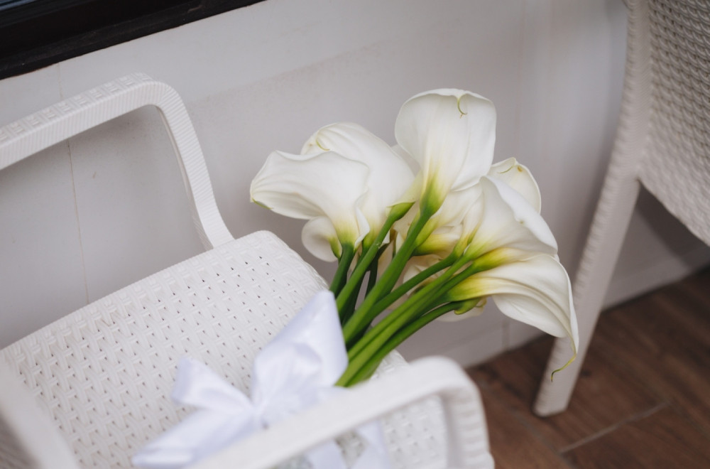 Gasi radost i stvara osećaj praznine: Ovo cveće nikako ne unosite u kuću