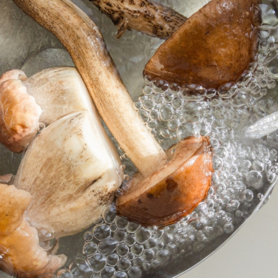 U ovome svi greše: Treba li prati pečurke pre spremanja?