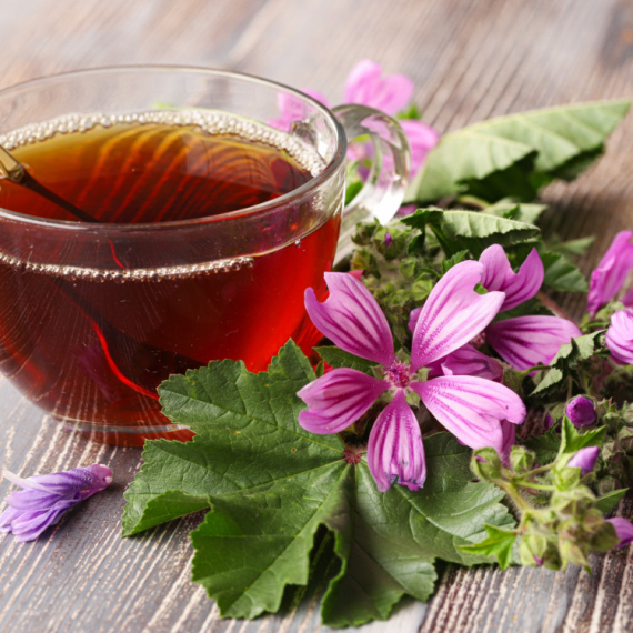 Moćna biljka raste širom Srbije: Evo za šta je sve dobra