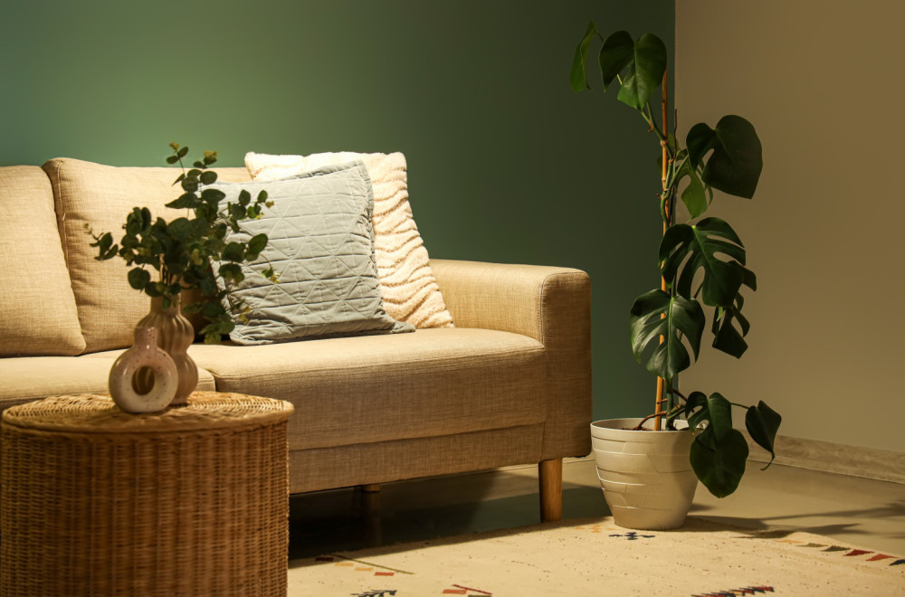 Najlepše sobne biljke koje uspevaju i u tamnijim prostorima FOTO