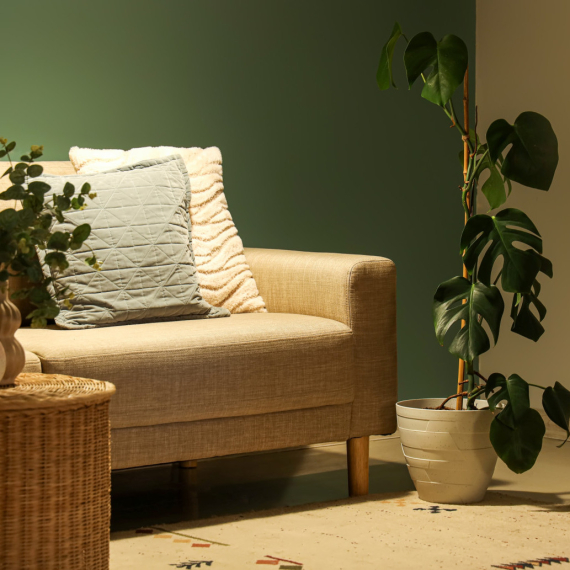 Najlepše sobne biljke koje uspevaju i u tamnijim prostorima FOTO