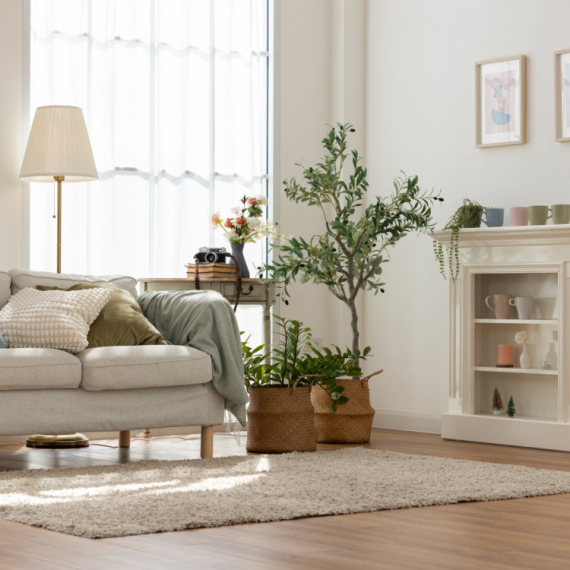 Izbacite ovo iz stana: Stvari koje su pre 20 godina bile popularne ruže prostor