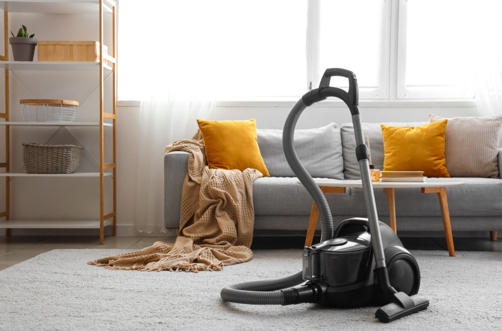 Žene stavljaju ovaj popularan začin u usisivač tokom zime: Kad čujete zašto, i vi ćete