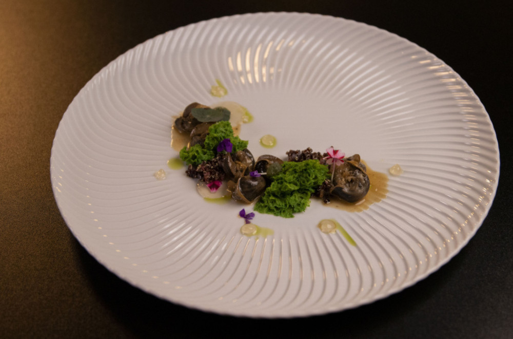 Finale MasterChefa donosi remek-delo na tanjiru: Puževima u belom vinu nećete odoleti