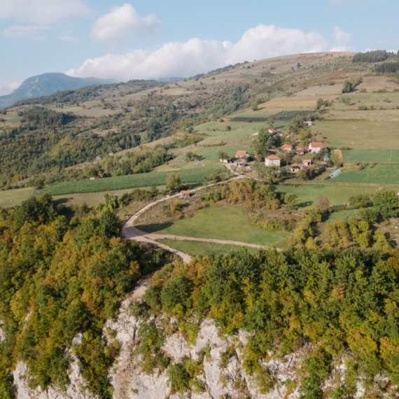 Prelepi divlji doseljenici: U šume Ljubovije stiglo devet muflona sa Tare, u planu i povratak divokoze