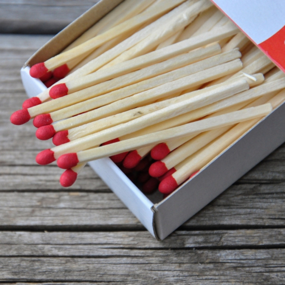 Genijalan trik sa šibicama spasiće svaku biljku koja vene