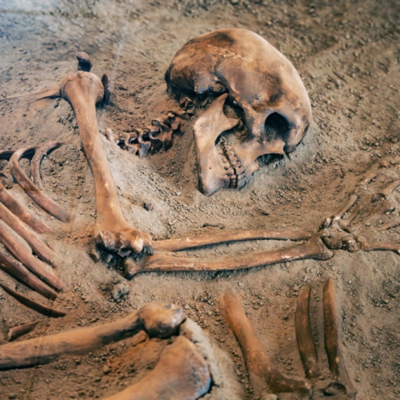 Naučnici obrnuli tezu: Ovaj fosil možda nije naš predak FOTO