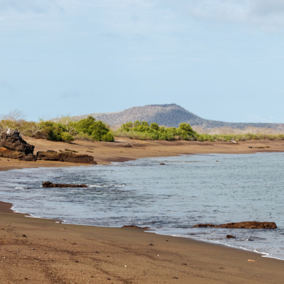 Neverovatno otkriće: Nakon 200 godina se pojavilo stvorenje za koje se mislilo da je izumrlo