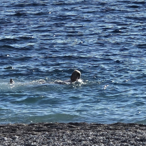 Novogodišnje brčkanje u ledenoj vodi na crnogorskom primorju: "Nisam verovao šta vidim" FOTO/VIDEO
