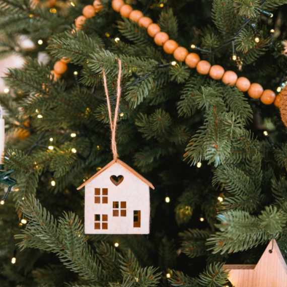 Emotivna priča o jelki na moru postala viralna: Svi su mislili da je plod veštačke inteligencije VIDEO