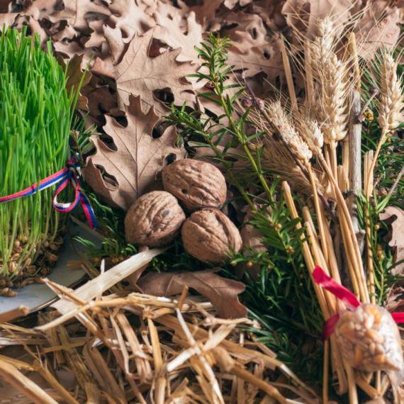 Šta uraditi sa badnjakom nakon Božića: Nikako ga ne bacajte