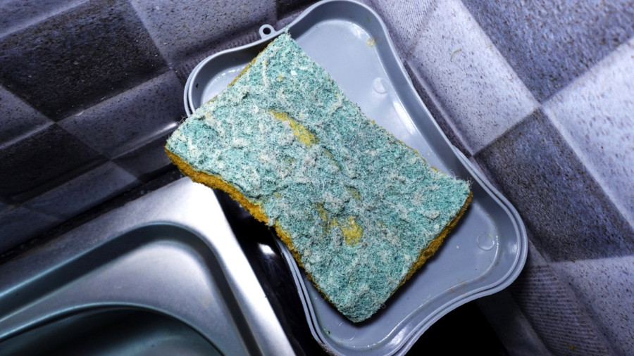 Nikad ne bacajte stari sunđer: Kad vidite šta sve može, čuvaćete ga kao blago