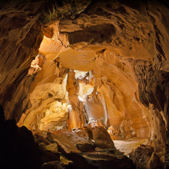 Spektakularno otkriće: Najstariji pećinski crtež na svetu menja tok istorije FOTO