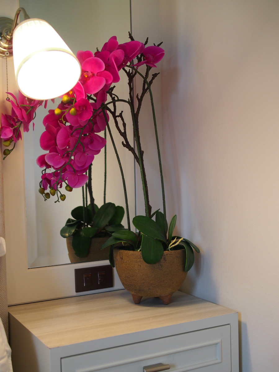 Koliko često hraniti orhideje da bi bile zdrave, raskošne i savršene?