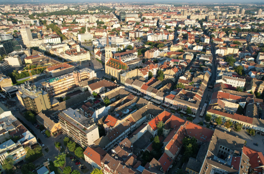 Nezvani gosti opsedaju novosadske terase: Novosađani zabrinuti