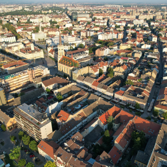 Nezvani gosti opsedaju novosadske terase: Novosađani zabrinuti