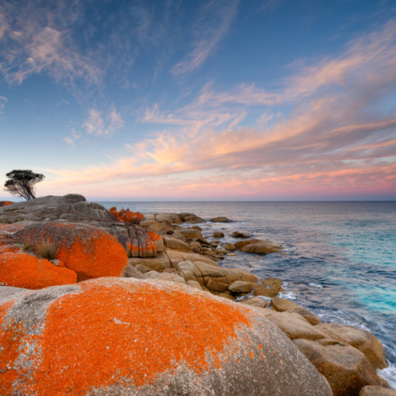 Veštačka inteligencija izmislila turističku atrakciju: Putnici ostali u šoku na Tasmaniji