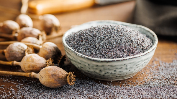 Zašto mak treba jesti zimi? Ovo su neki od razloga FOTO